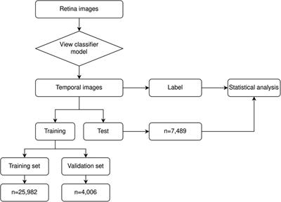 Development and validation of an artificial intelligence based screening tool for detection of retinopathy of prematurity in a South Indian population